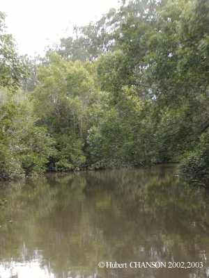 Eprapah Creek